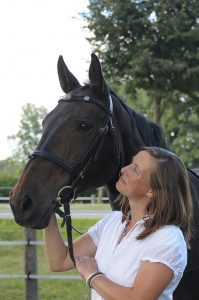horse, snaffle, face, mare, brown, nature, horse portait, horse head